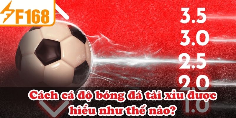 Cách cá độ bóng đá tài xỉu được hiểu như thế nào?