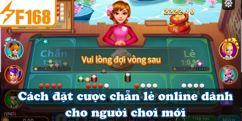 Cách đặt cược chẵn lẻ online dành cho người chơi mới