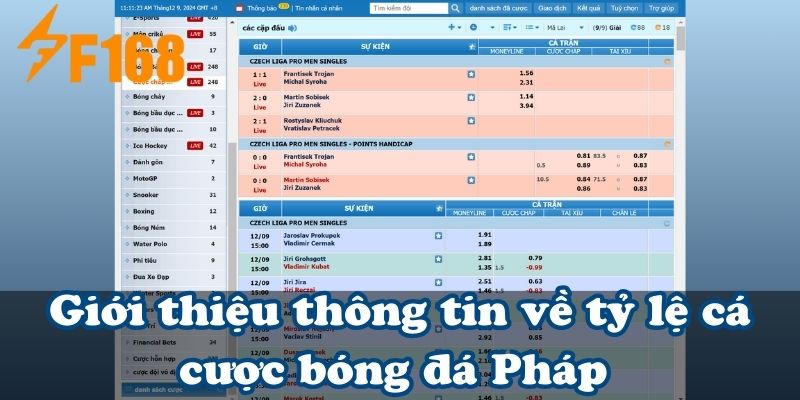 Giới thiệu thông tin về tỷ lệ cá cược bóng đá Pháp 